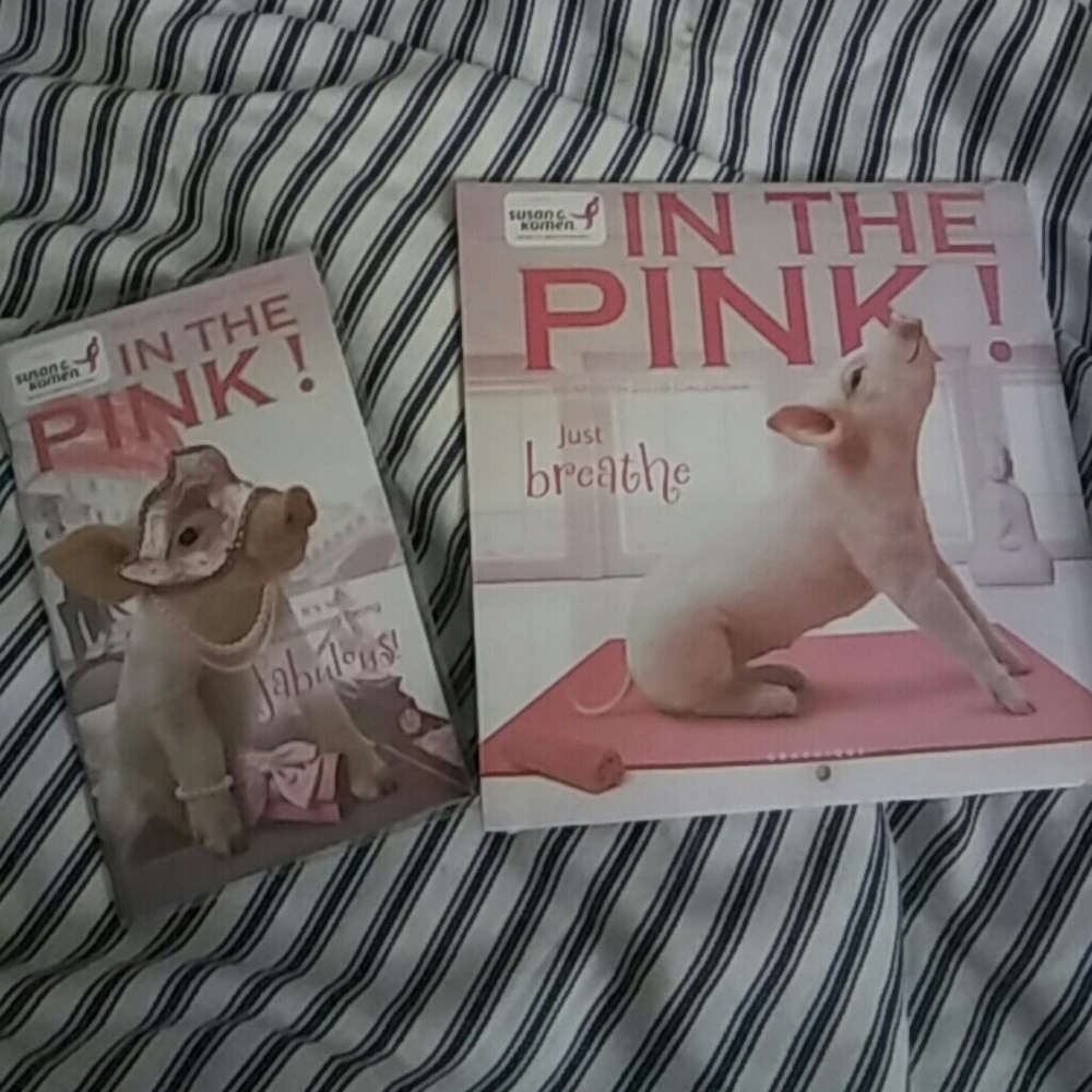 Pig 2018 calender 3/$20